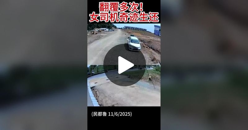 TikTok · 诗华日报 See Hua Daily