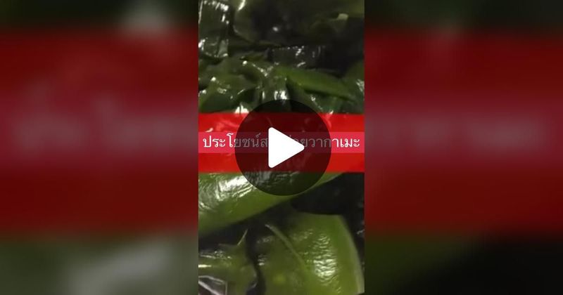 TikTok · Mae-ying Organic