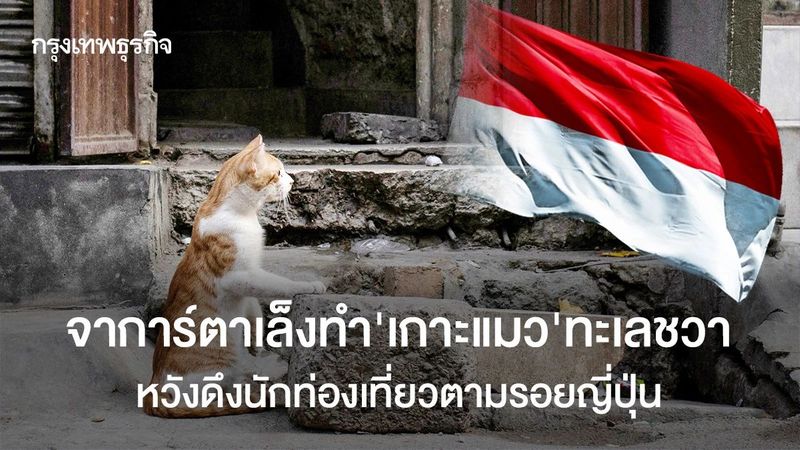 จาการ์ตาเล็งทำเกาะแมวทะเลชวา หวังดึงนักท่องเที่ยวตามรอยญี่ปุ่น