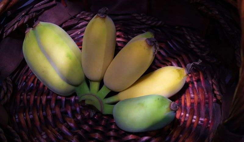 กล้วยดิบ: ประโยชน์ที่น่าทึ่งจากธรรมชาติ สรรพคุณยาโบราณคู่ครัวคุณ