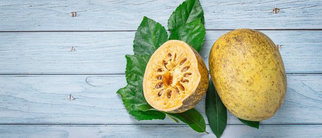 มะตูม ผลไม้ไทยโบราณมากสรรพคุณที่คุณควรรู้