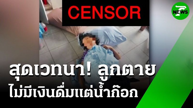 ไม่ออกหากิน ดื่มน้ำก๊อกจนลูกอดตาย | 19 มิ.ย. 68 | ข่าวเช้าหัวเขียว