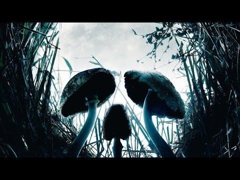 Shrooms (2007) Official Trailer