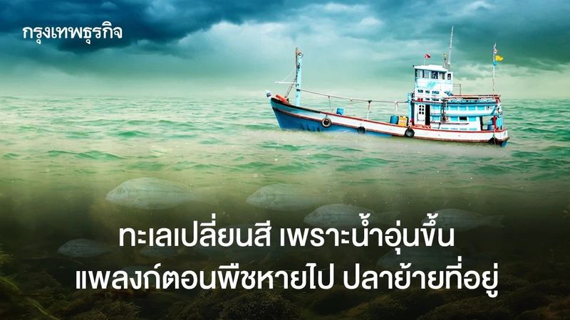 ทะเลเปลี่ยนสี เพราะน้ำอุ่นขึ้น แพลงก์ตอนพืชหายไป ปลาย้ายที่อยู่
