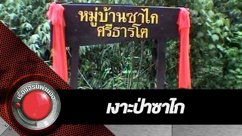 เงาะป่าซาไก l เรื่องจริงผ่านจอ