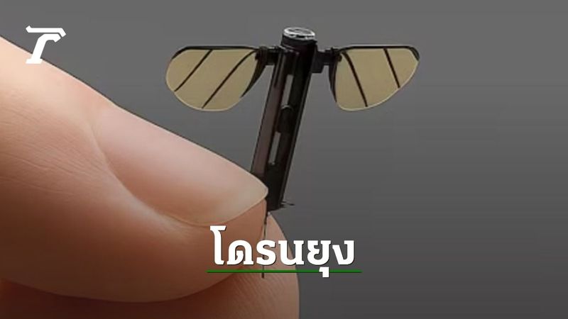 สุดล้ำ กองทัพจีนเปิดตัว ”โดรนยุง” ตัวจิ๋ว เพื่อภารกิจลับทางทหาร