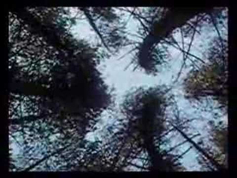 Brian Eno - In Dark Trees