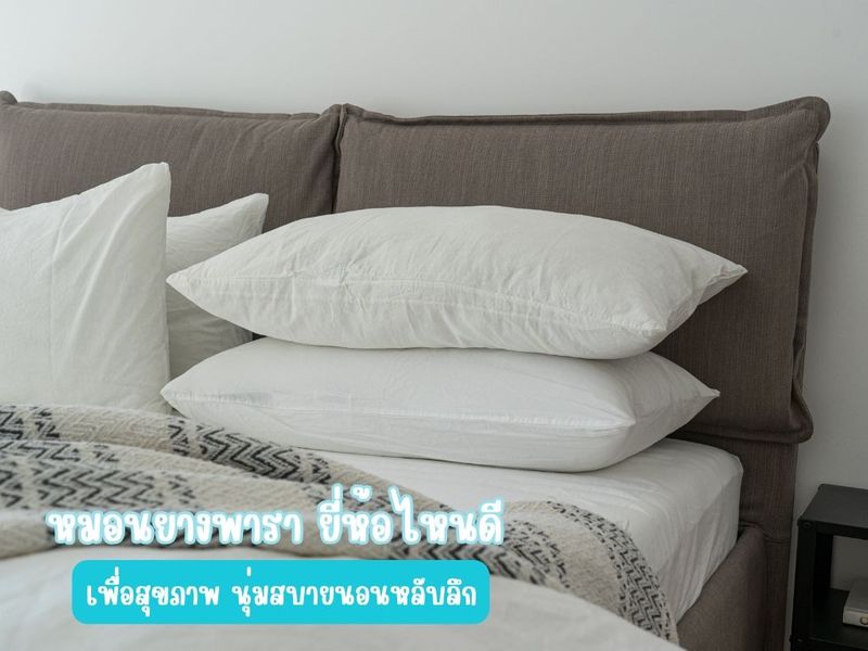 หมอนยางพารา ยี่ห้อไหนดี ดีต่อสุขภาพ นอนสบาย - homiebro