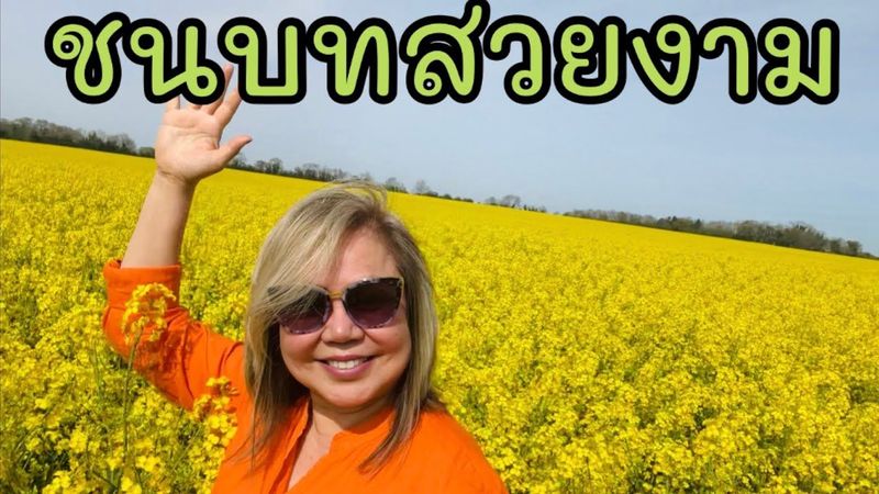 ตะลุยเทียวอังกฤษวันนี้พาไปชมธรรมชาติชนบทของอังกฤษ ดอกสีเหลืองๆเต็มทุ่งสุดสายตาบรรยากาศสวยงามอากาศดี