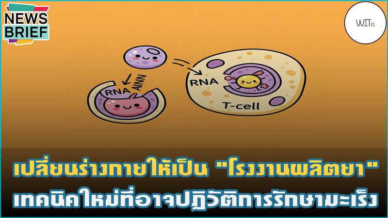 [Witly. - เปิดโลกวิทย์แบบเบา ๆ] 💊 เปลี่ยนร่างกายให้เป็น 
