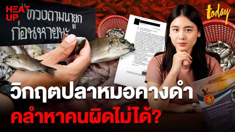วิกฤตปลาหมอคางดำ ไม่มีคนผิด ไม่มีหลักฐาน รัฐทำอะไรไม่ได้จริงเหรอ? I HEAT UP