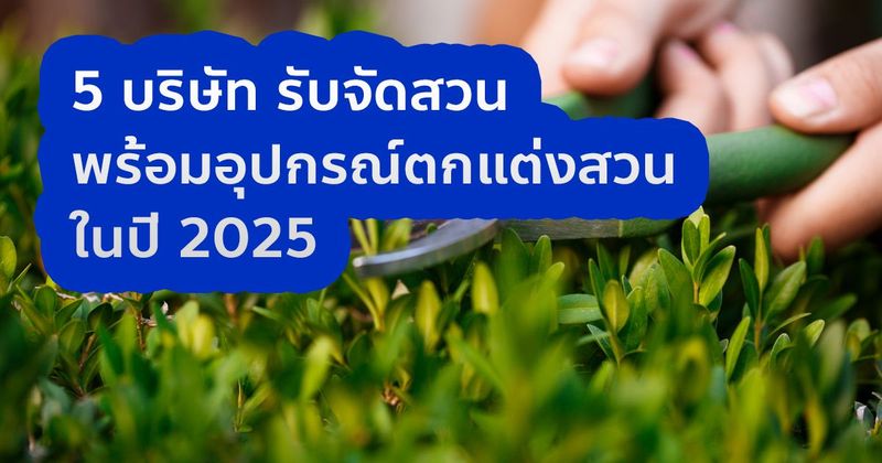 5 บริษัท รับจัดสวน พร้อมอุปกรณ์ตกแต่งสวน ในปี 2025 - ThaiBestService
