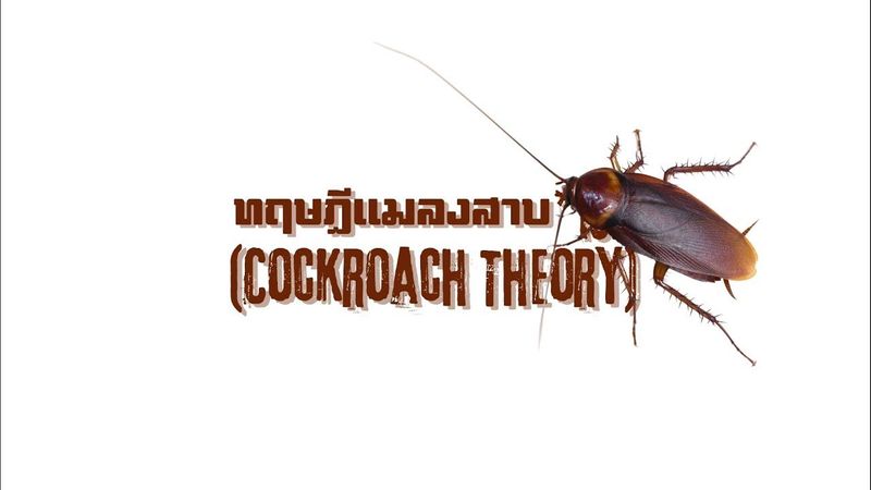 🎼 ทฤษฎีแมลงสาบ*102​ (Cockroach Theory) #เพลงเพื่อชีวิต​Lifestyle​คนยุคใหม่