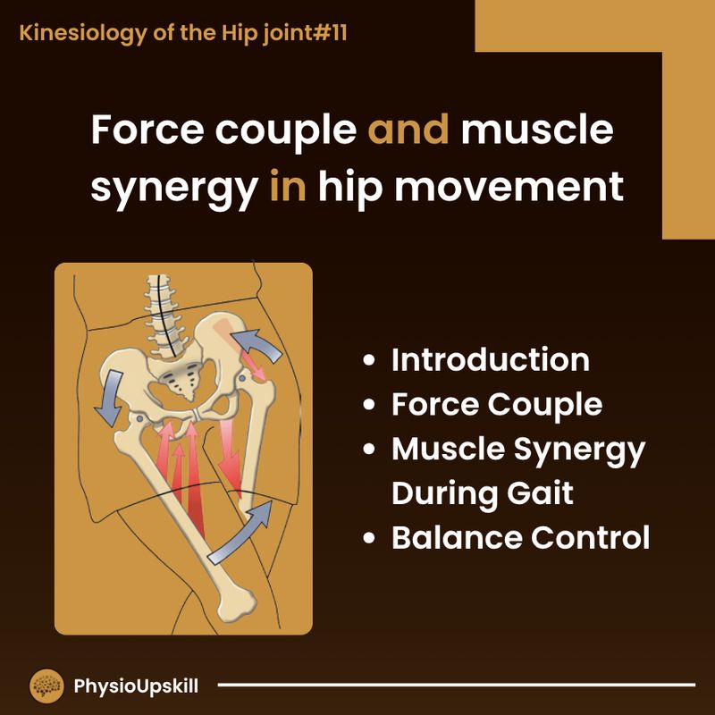 [Physioupskill] ## Episode128: Kinesiology of the Hip joint #11 Force ...