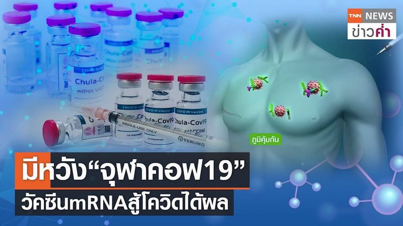 มีหวัง“จุฬาคอฟ19” วัคซีนmRNAสู้โควิดได้ผล | TNN ข่าวค่ำ | 13 ส.ค. 64