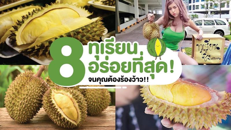 8 ทุเรียนแสนอร่อย สายพันธุ์ไหนอร่อยที่สุด!