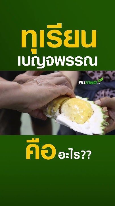 ทุเรียนเบญจพรรณคืออะไร? #ฅนเกษตร #ทุเรียน #หมอนทอง #ทุเรียนเบญจพรรณ