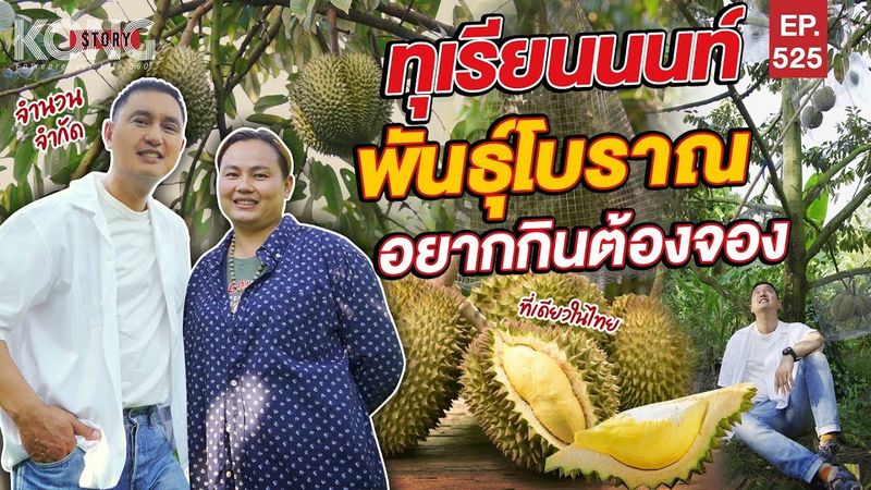 ทุเรียนนนท์พันธุ์โบราณ อยากกินต้องจอง l Kong Story EP.525