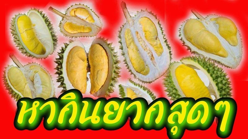 รวม 10 สายพันธุ์ ”ทุเรียน” พื้นบ้านไทย ”ที่หากินยากสุดๆ #เสียงปักษา