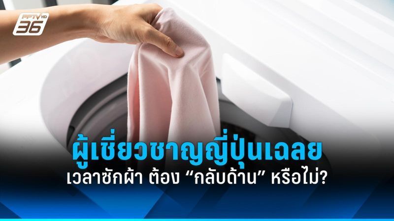 [PPTVHD36] ผู้เชี่ยวชาญญี่ปุ่นไขคำตอบ เวลาซักผ้าต้อง “กลับด้าน” หรือไม่?
พ่อบ้านญี่ปุ่นตั้งกระทู้ถาม ว่าการกลับด้านเสื้อผ้าเวลาซักผ้าเป็นเรื่องถูกต้องหรือไม่ หลังถูกสอนมาตั้งแต่เด็กว่าไม่ควรกลับด้าน