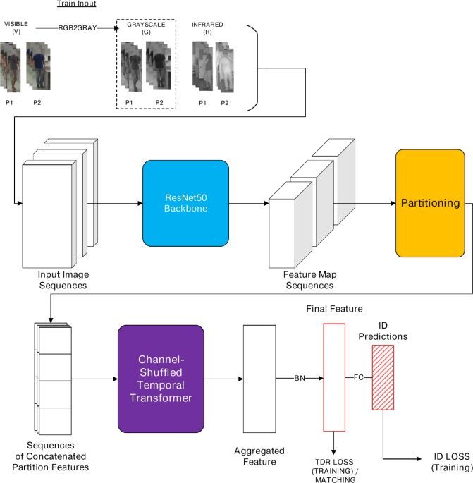 Channel-shuffled transformers for cross-modality person re-identification in video - Scientific Reports