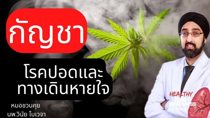 กัญชา กับ โรคปอดและทางเดินหายใจ | นพ.วินัย โบเวจา