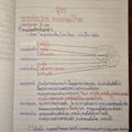 ตำบล โคกปรง