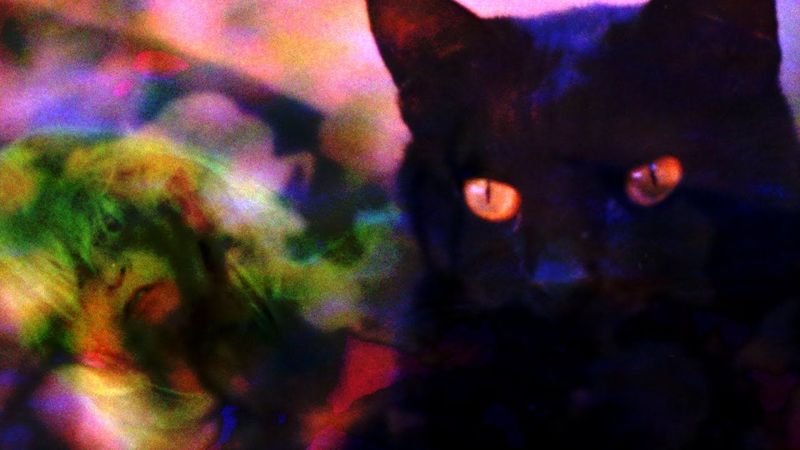 Pale Saints - Kinky Love [Demo] (Official Video)