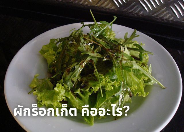 ผักร็อกเก็ตคืออะไร? ไขทุกข้อสงสัยพร้อมวิธีอร่อยแบบจัดเต็ม!