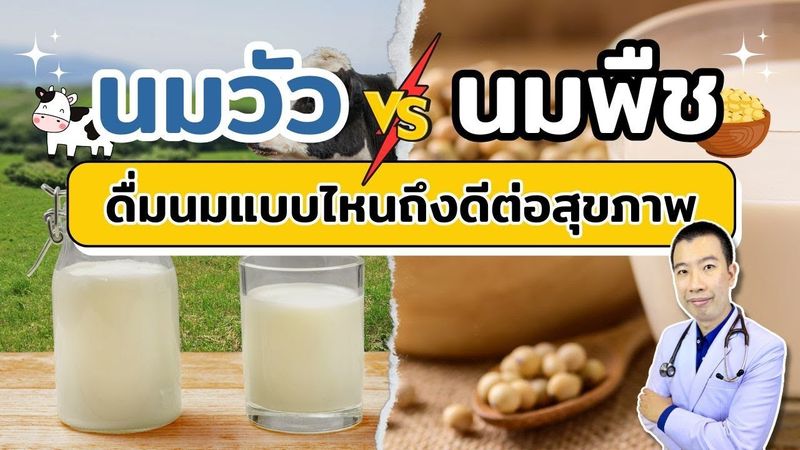 นมวัว กับ นมพืช ดื่มนมแบบไหนถึงดีต่อสุขภาพ | เม้าท์กับหมอหมี EP.669