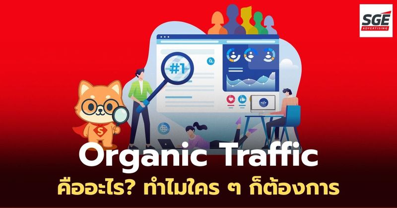 Organic Traffic คืออะไร? ดูเทคนิคเพิ่มคนเข้าเว็บฟรี แบบยั่งยืน