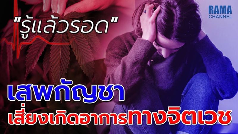 EP.16 เสพกัญชา เสี่ยงเกิดอาการทางจิตเวช - HOW TO รู้แล้วรอด