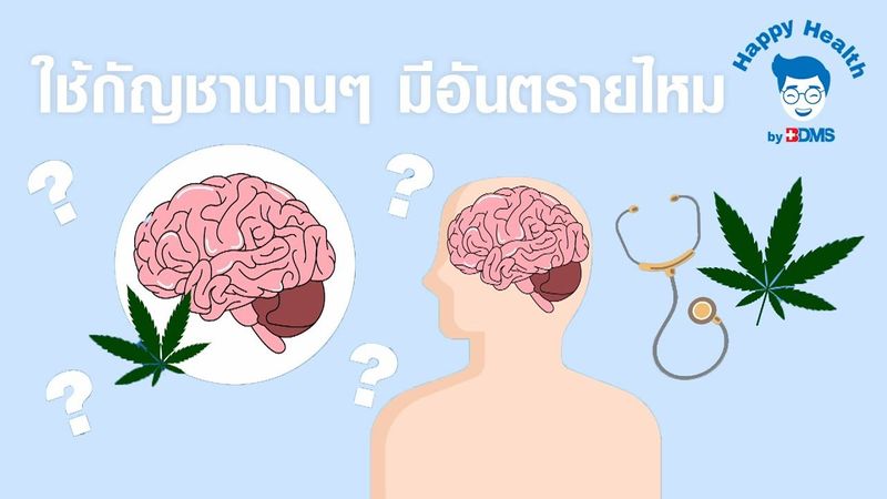 Happy Health by BDMS EP32 ใช้กัญชานานๆ มีอันตรายไหม 03