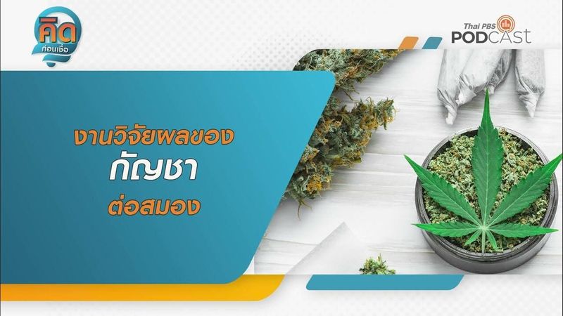 งานวิจัยผลของกัญชาต่อสมอง | คิดก่อนเชื่อ