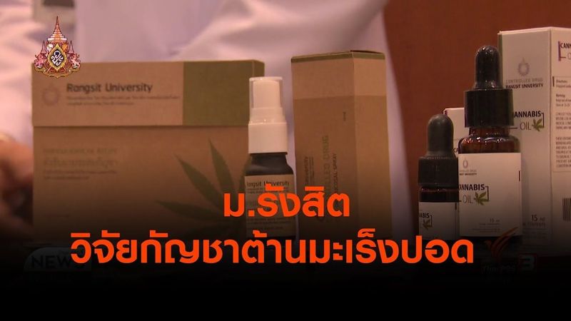 ม.รังสิต วิจัยกัญชาต้านมะเร็งปอด (24 เม.ย.62)