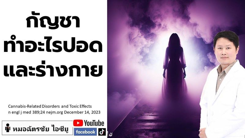 กัญชาทำอะไรปอดและร่างกาย ไอ เหนื่อย หายใจเสียงดัง #กัญชา #โทษของกัญชาและยาเสพติด #ปอดและกัญชา