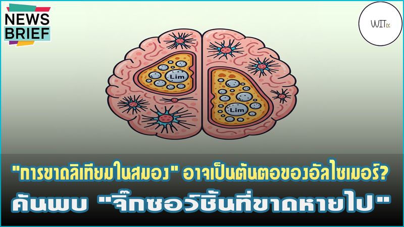 [Witly. - เปิดโลกวิทย์แบบเบา ๆ] 🧠 