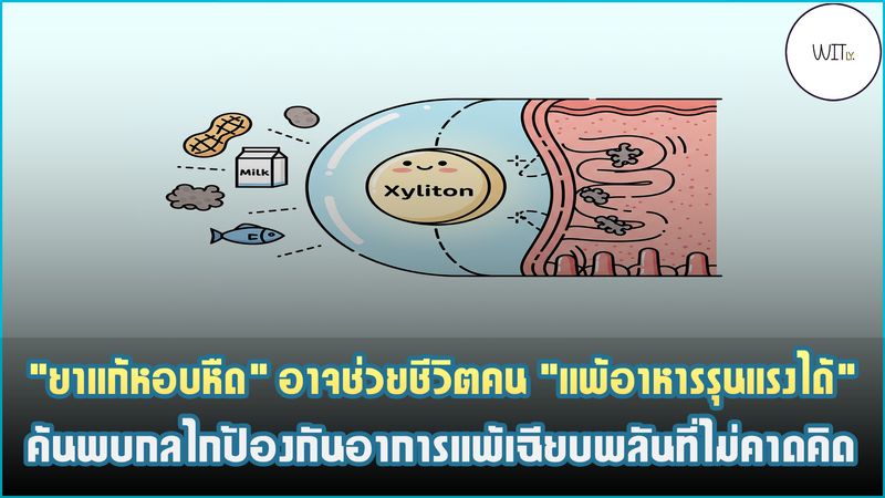 [Witly. - เปิดโลกวิทย์แบบเบา ๆ] 💊 