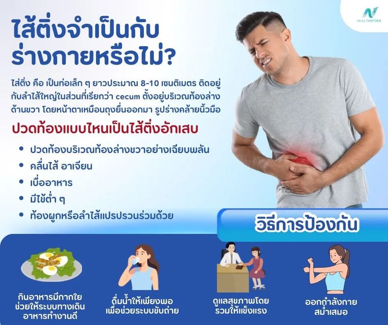 [Healthntier] ไส้ติ่งจำเป็นกับร่างกายหรือไม่? รู้ลึกเรื่องไส้ติ่ง ...