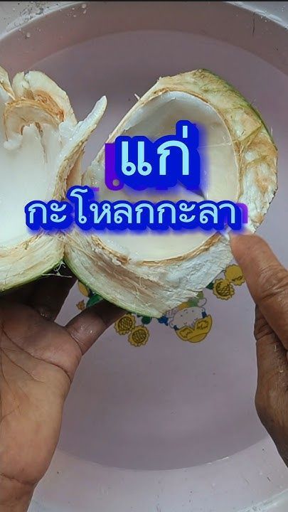 #แก่กะโหลกกะลา #shots #old man #สำนวนไทย