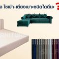 เอส ที แอล เฟอร์นิเจอร์