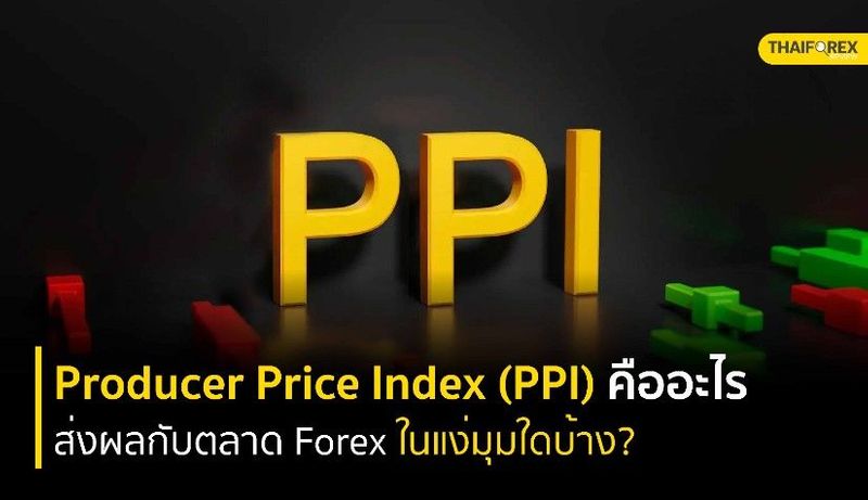 PPI คืออะไร ? ส่งผลกับตลาด Forex ในแง่มุมใดบ้าง ?