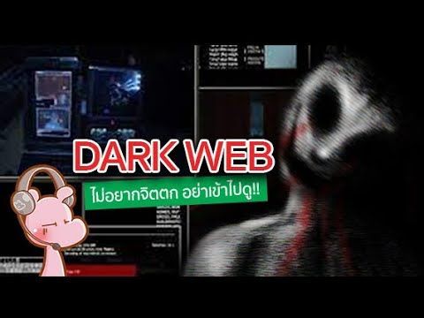 ทำไมเราถึงไม่ควรเข้าไปดู Dark web !! #ดาร์คไดอะรี่ I แค่อยากเล่า...◄1062►