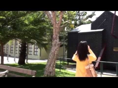 Ridiculous - Lesson learned from Black Maria