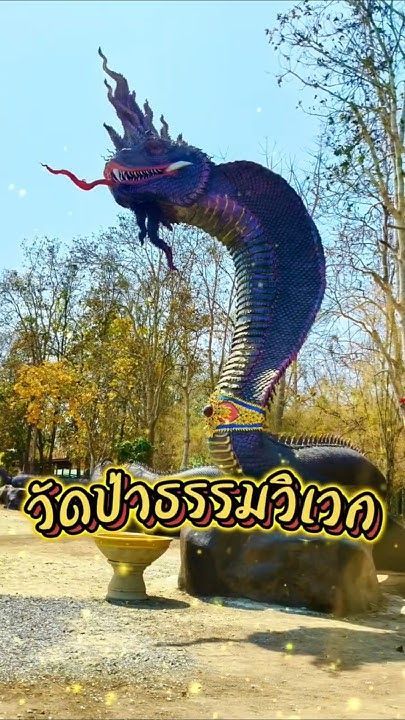 #วัดป่าธรรมวิเวก #จังหวัดหนองบัวลำภู #มาเสริมบุญกันค่ะ🙏🏻🛕🛕#รับโชครับทรัพย์ #เสริมดวง #ทำบุญ