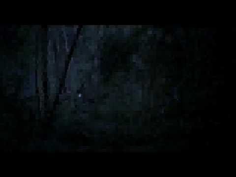 ลุงบุญมีระลึกชาติ Uncle Boonmee Who Can Recall His Past Lives