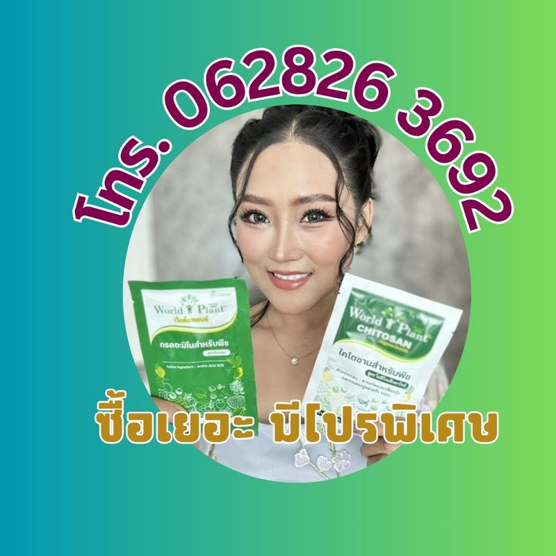 โกดังคลังจำหน่ายเวิลด์แพลนท์ โทร. 062 826 3692