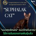 ซอย คลองหลวง 8