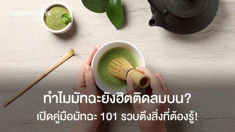 ทำไมมัทฉะฟีเวอร์ไม่หยุด รวบตึง ‘มัทฉะ 101’ มือใหม่หัดดื่มต้องรู้