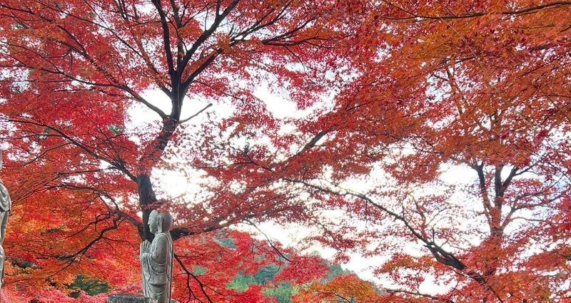 โอะฮิงัง (お彼岸)-ช่วงเวลาแห่งการระลึกถึงบรรพบุรุษและความสงบใจ